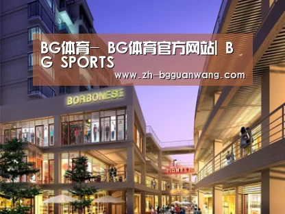 案例展示一(图1)