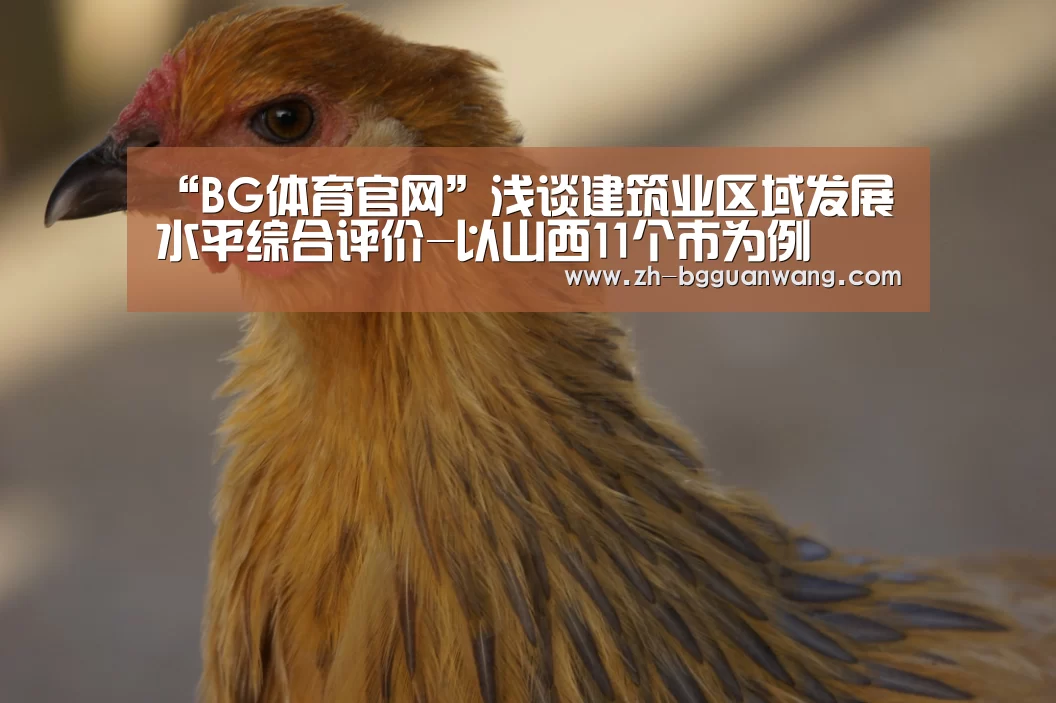 BG体育官网