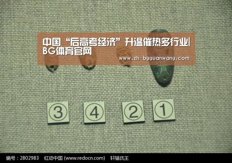 BG体育官网