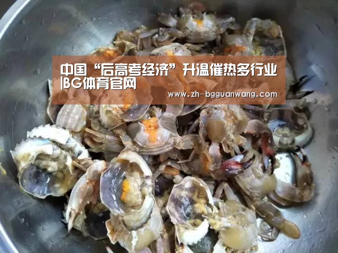 BG体育官网