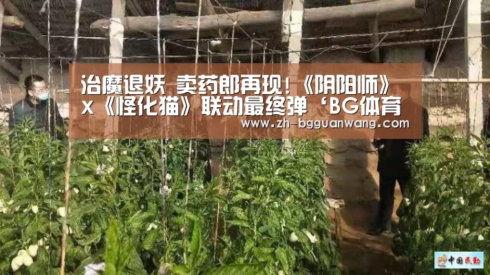 BG体育官网