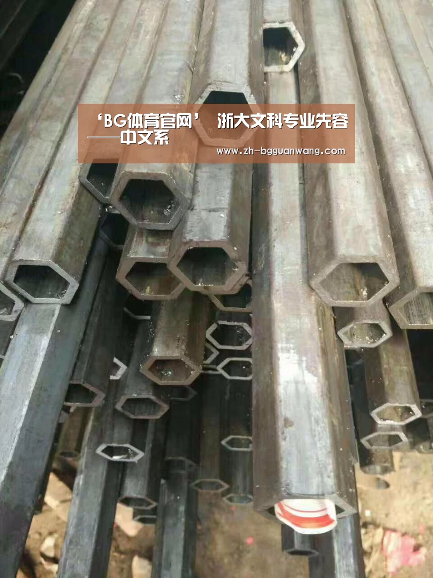 BG体育官网