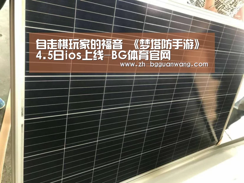 BG体育官网